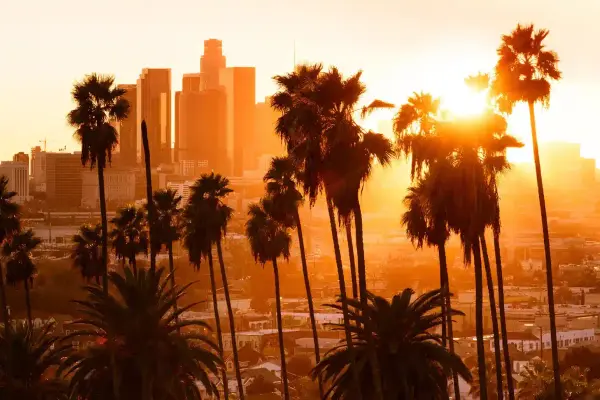 Los Angeles Truck Accident Lawyers